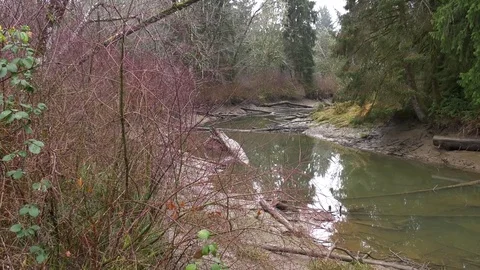 Tidal river in winter Olympic Peninsula 動画素材 83767509