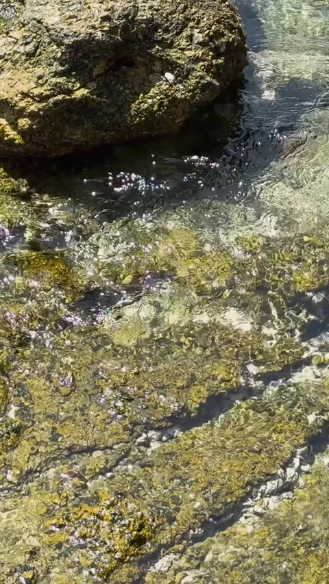 Tidal Rock Pool at Yanui Beach Stock Footage 305212272