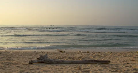 The tidal wave coming towards the sandy beach shore with a large tree log during 動画素材 135963802