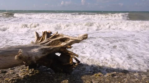 Tidal wave on the sea coast Stock Footage 254573346