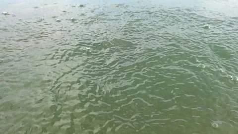 Tidal waves on the shore of the lake Stock Footage 118266858