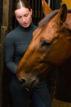 Tidbit to horse Фото