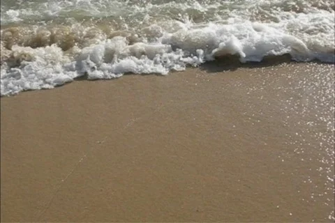 Tide and waves in beach Stock Footage 113259