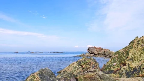 A tide comes: 스톡 동영상 80150810