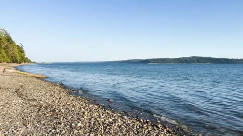 Tide Coming in on a Pacific Northwest Beach Stock Footage 246337414