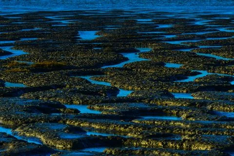 Tide Flat Stock Photos