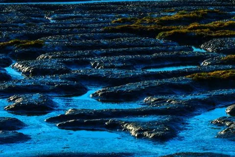 Tide Flat Stock Photos