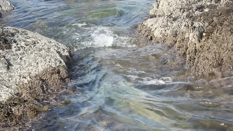 Tide flows in and out between small rocks on seashore Stock Footage 73275282