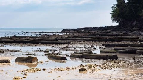 The tide is out on the beach. Bare bottom. Fotos de archivo