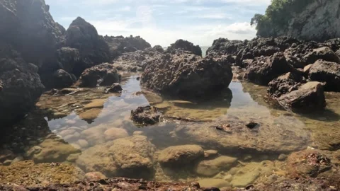 Tide pool among the rocks Stock Footage 319808053