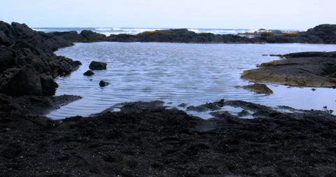Tide pool at Black Sand Beach coastline with waves on volcanic shore in Hawaii Stock Footage 330548533