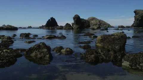 Tide Pool in Brookings, Oregon Stock Footage 35285323