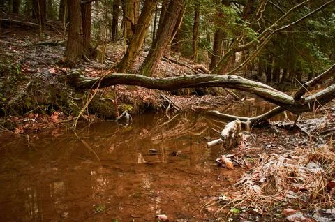 Tide Pool Stock Photos