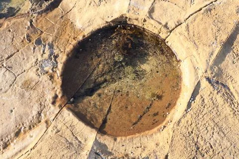 Tide Pool On A Rocky Surface With Small Marine Plants And Algae Forming A C.. Stock Photos