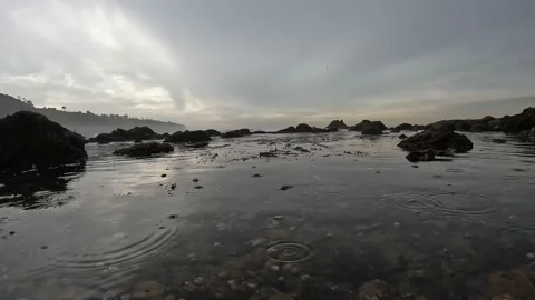 Tide pool Timelapse Stock Footage 171461758