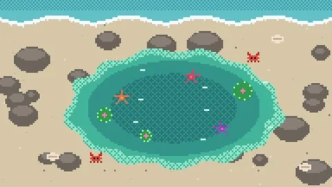Tide pool top view with crabs Vídeo Stock 348648725
