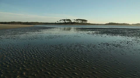 Tide pools on Cherry Grove Beach Video stock 49228685
