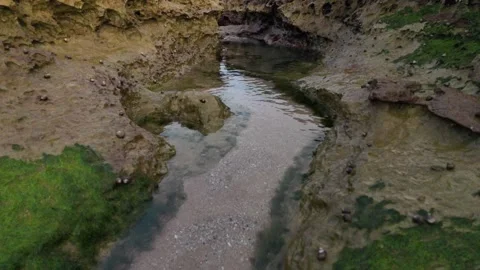 TIDE POOLS Stock Footage 333581873