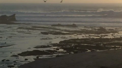 Tide pools in hazy sundown Video stock 57652366