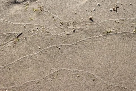 Tide Prints 스톡 사진