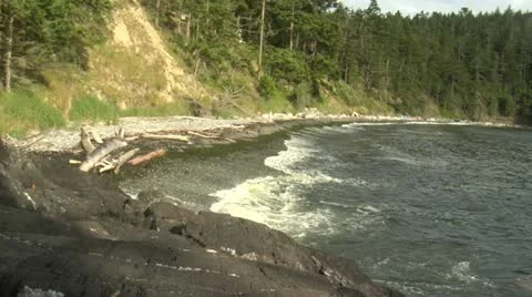 Tide Rolling In Stock Footage 11856476