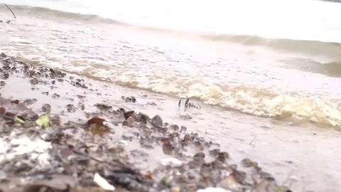 Tide Rolling in on Lake Beach 動画素材 83256237