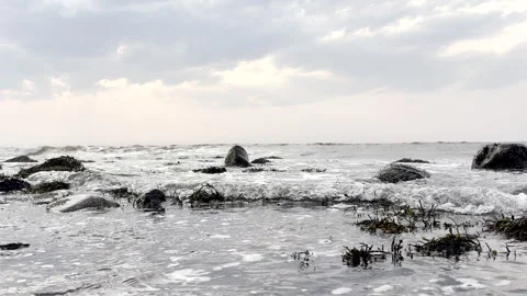 Tide Rolling Over Seaweed-Covered Rocks – Rocky Shoreline at Dusk Video stock 311722427