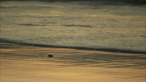 Tide at Sunset Stock-Footage 37710314