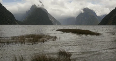 The tide surrounds patches of grass in Milford Sound New Zealand Stock Footage 120491553