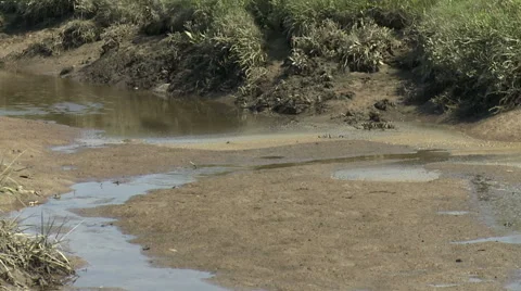 Tide water Stock Footage 45426360