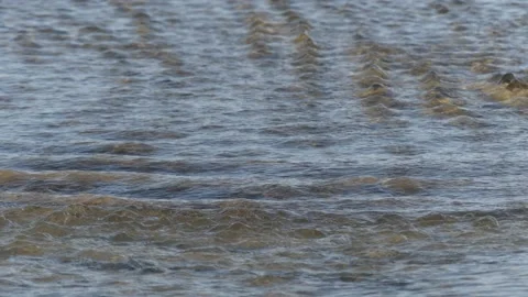 Tide water patern Stock Footage 164921722