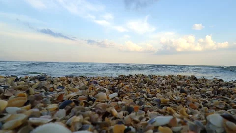 Tide waves on the sea coast Stock Footage 114513708