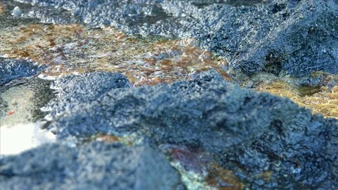 Tidepool draining macro rocks Kauai Hawaii Stock Footage 81913619