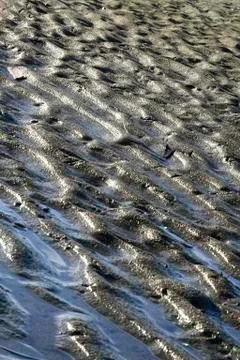 Tidepool Stock Photos