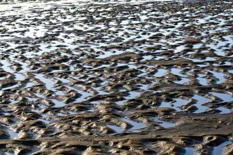 Tidepool Stock Photos