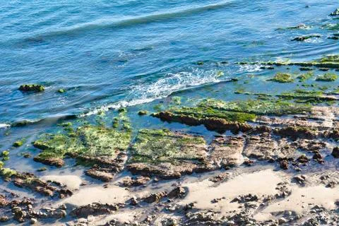 Tidepools along beach Stock Photos