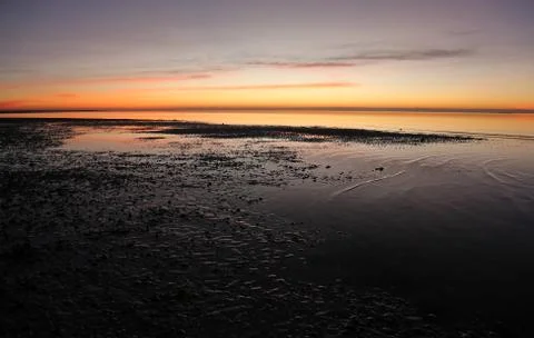 Tidepools at Dawn Stock Photos