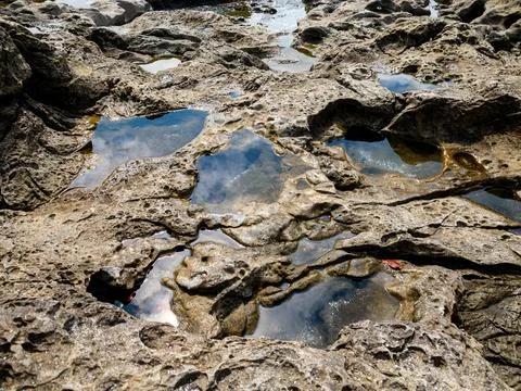 Tidepools in sandstone, Botanical Beach, BC, Canada Stock Photos
