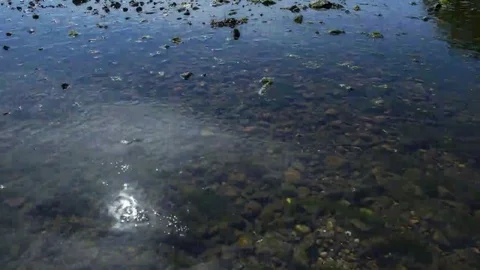 Tides: Atlantic, Reflection of Sky and Clouds Stock Footage 69259632