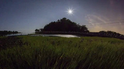 Tides: Atlantic, Rising Tide with Trees and Moon Stock Footage 69259565