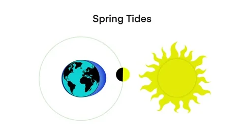 Tides, Moon, Sun and Earth, How sea tides are caused by the gravitational Stock Footage 270475614