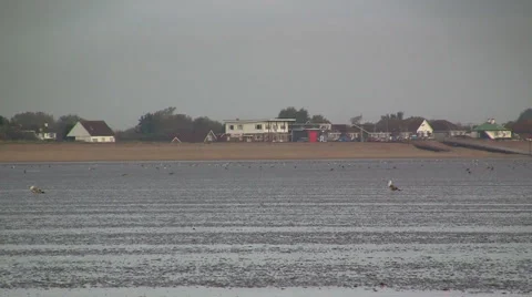 Tides out looking back towards the beach Stock Footage 1049699