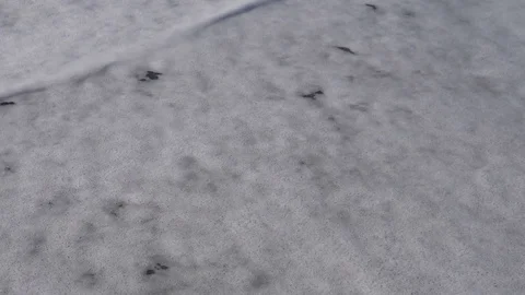 Tidewash Loop. Sea tide washes up a sandy shore and out again. Loop-able clip Stock-Footage 81996207