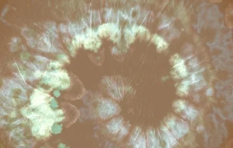 Tie Dye Pattern. Gray Batik Shirt. Ink Stock Illustration