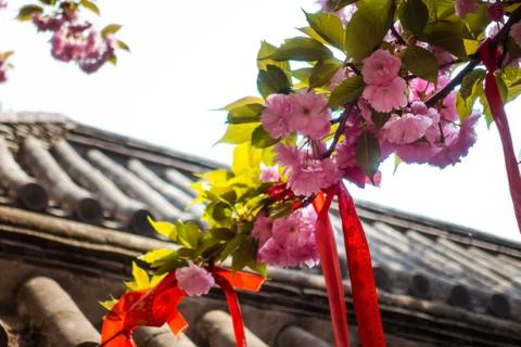 Tie Red Ropes on the Tree for Praying Stock Photos