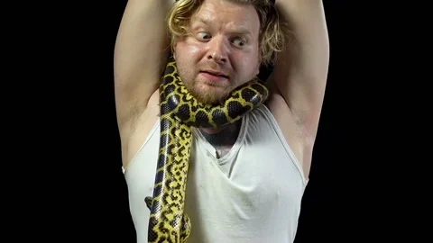 Tied blond man with python on his neck Video stock 94979497
