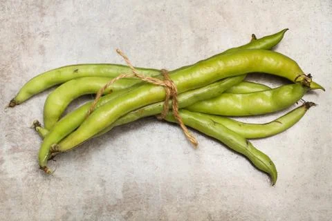 Tied broad beans on a marble table Stock Photos