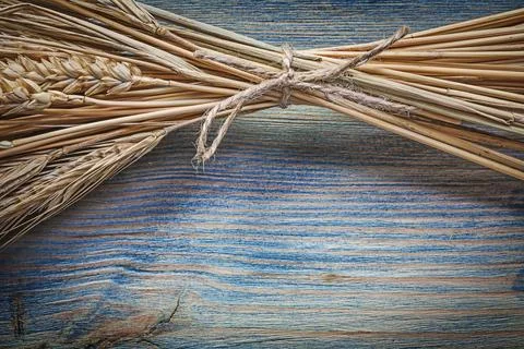 Tied bundle of wheat and rye ears on an old wooden board Stock Photos