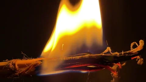 Tied Bundle of Wood Splinters Burns with Loud Hissing and Crackling Sounds Stock Footage 329016490
