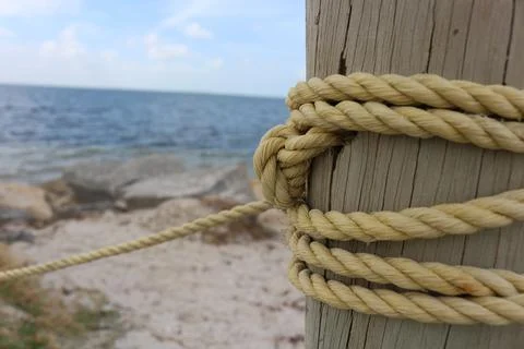 Tied Off Stock Photos